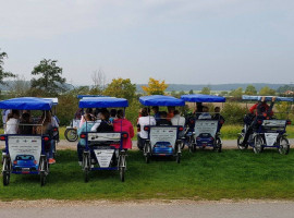 3 Std. 4er-Rikscha ”Elektro” mieten in Altmühlsee