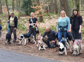 1 Std. Schnuppertour mit Huskys in Dülmen