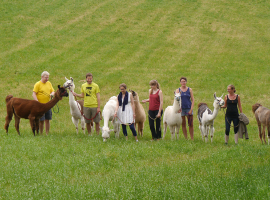Lamatrekking mit Picknick in Erlbach