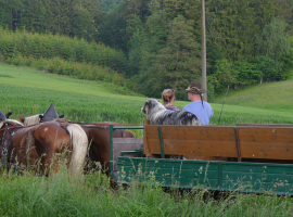Romantische Kutschfahrt in Erlbach