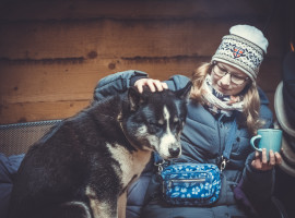 1 Std. Husky-Wanderung in Fürstenberg
