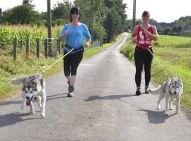 Husky Trekking in Goch