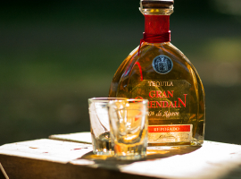 Tequila-Tasting in Idstein
