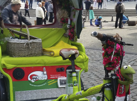 Rikscha selber fahren in Köln, 4 Std.