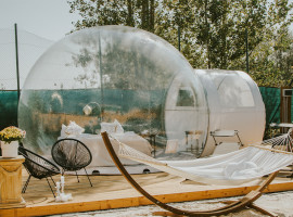 Übernachtung im Bubble Tent für 2 Personen (So.-Do.) in Krugsdorf