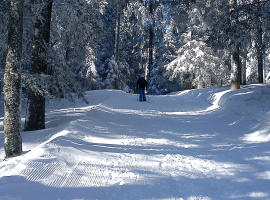 Schneeschuh-Wanderung ”Privat-Stunde” in Menzenschwand