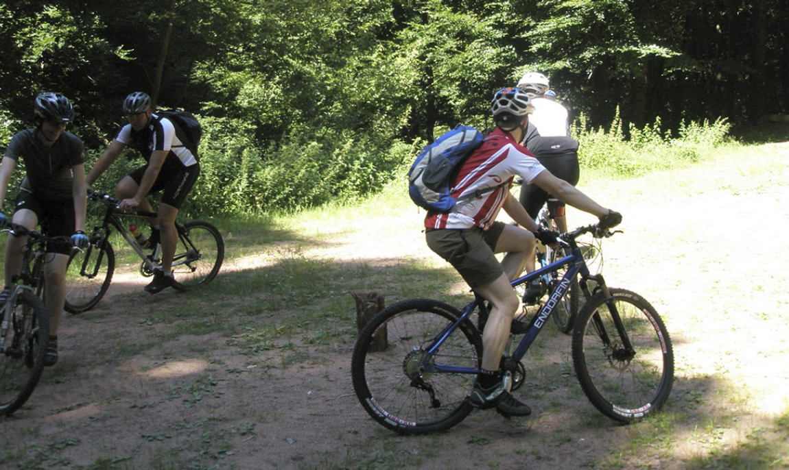 assets/images/activities/mountainbike-einsteigerkurs-in-elmstein-raum-kaiserslautern/1280_0006_Einfu%CC%88hrung+5.7.2008+001-1150x686x90.jpg
