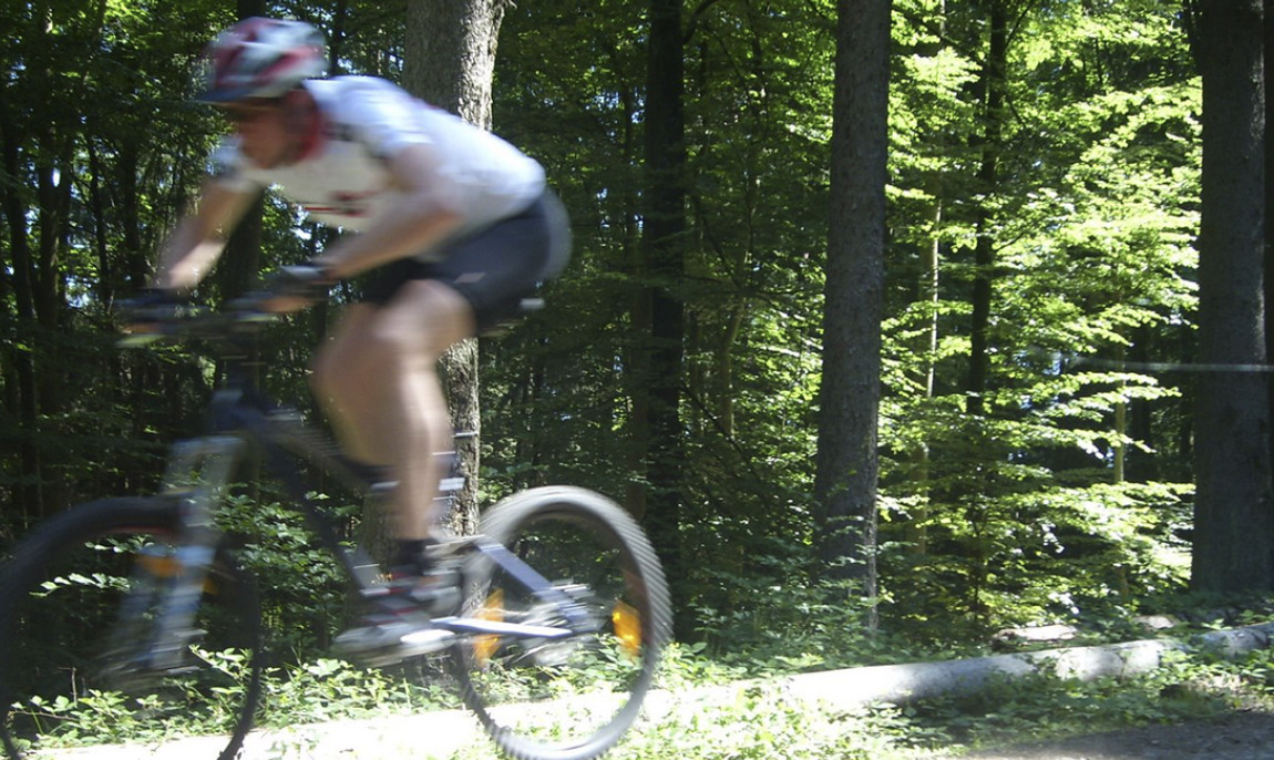 assets/images/activities/mountainbike-einsteigerkurs-in-elmstein-raum-kaiserslautern/1280_0007_097-1150x686x90.jpg