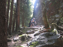 Mountainbike Tour in Schmiedefeld, Raum Erfurt in Thüringen