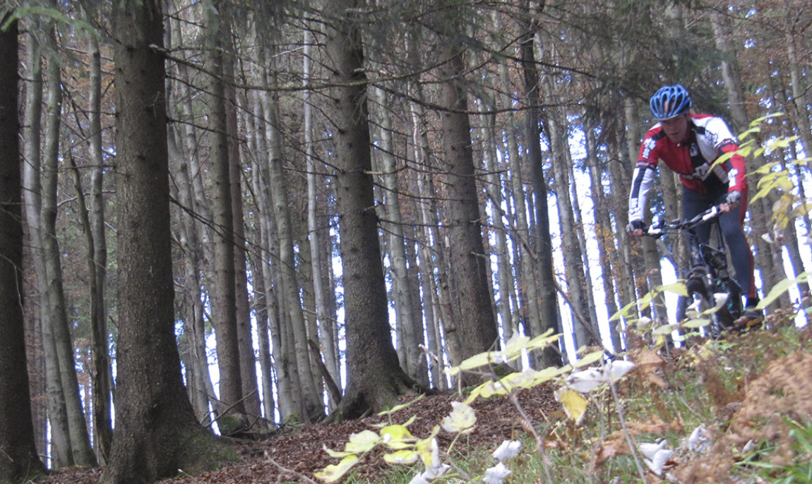 assets/images/activities/mountainbike-wochenende-schmiedefeld/1280_0007_IMG_1430-1150x686x90.jpg