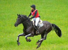 2,5 Std. Sport- und Action-Fotoshooting für Reiter und Pferd in Düsseldorf (oder Umgebung)