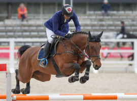1,5 Std. Sport- und Action-Fotoshooting für Reiter und Pferd in Straubing (oder Umgebung)