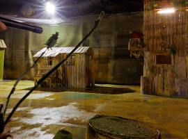 assets/images/activities/paintball-spielen-mechernich/1280_0005_playpaintball-adventurefield-gruppen-betriebsausflug-junggesellenabschied-270x200x90.jpg