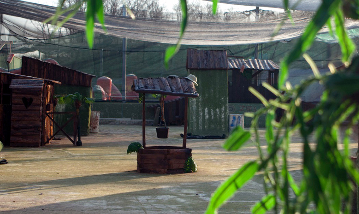 assets/images/activities/paintball-spielen-mechernich/1280_0008_playpaintball-adventurefield-gruppen-betriebsausflug-junggesellenabschied-dschungel-1150x686x90.jpg