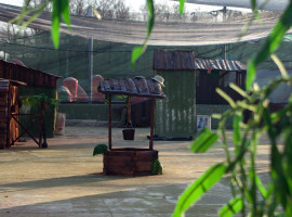 assets/images/activities/paintball-spielen-mechernich/1280_0008_playpaintball-adventurefield-gruppen-betriebsausflug-junggesellenabschied-dschungel-270x200x90.jpg