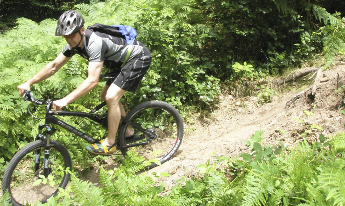 assets/images/activities/personal-trainer-fuer-mountainbike-in-elmstein-rheinland-pfalz/1280_0002_P6210155-1150x686x90.jpg
