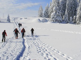 Schneeschuh Wanderung in Blaichach, Raum Kempten in Bayern