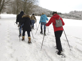 Schneeschuhwanderung Bad Sachsa