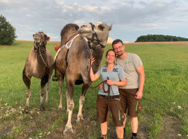 1 Std. Kamelreiten in Schönau-Berzdorf