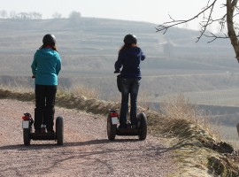 Segway-Tour in Vogtsburg, Raum Freiburg in Baden-Württemberg
