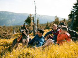 8 Std. Huskywanderung in Silberborn