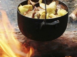 2 Tage Überleben in der Wildnis Bad Malente