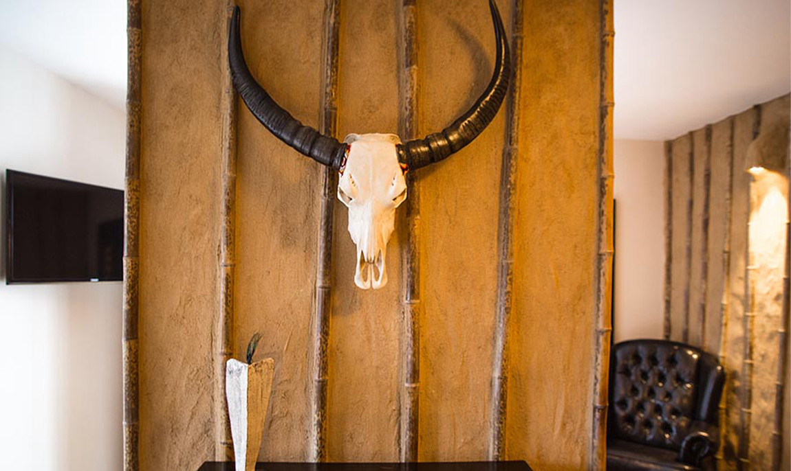 assets/images/activities/uebernachtung-in-der-out-of-africa-suite-in-ostbevern/dir-afr-3-1150x686x90.jpg